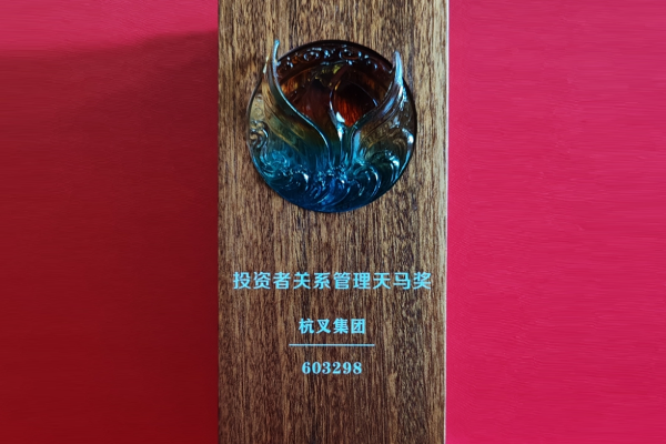 喜報！杭叉集團(tuán)榮獲第十六屆中國上市公司投資者關(guān)系管理天馬獎